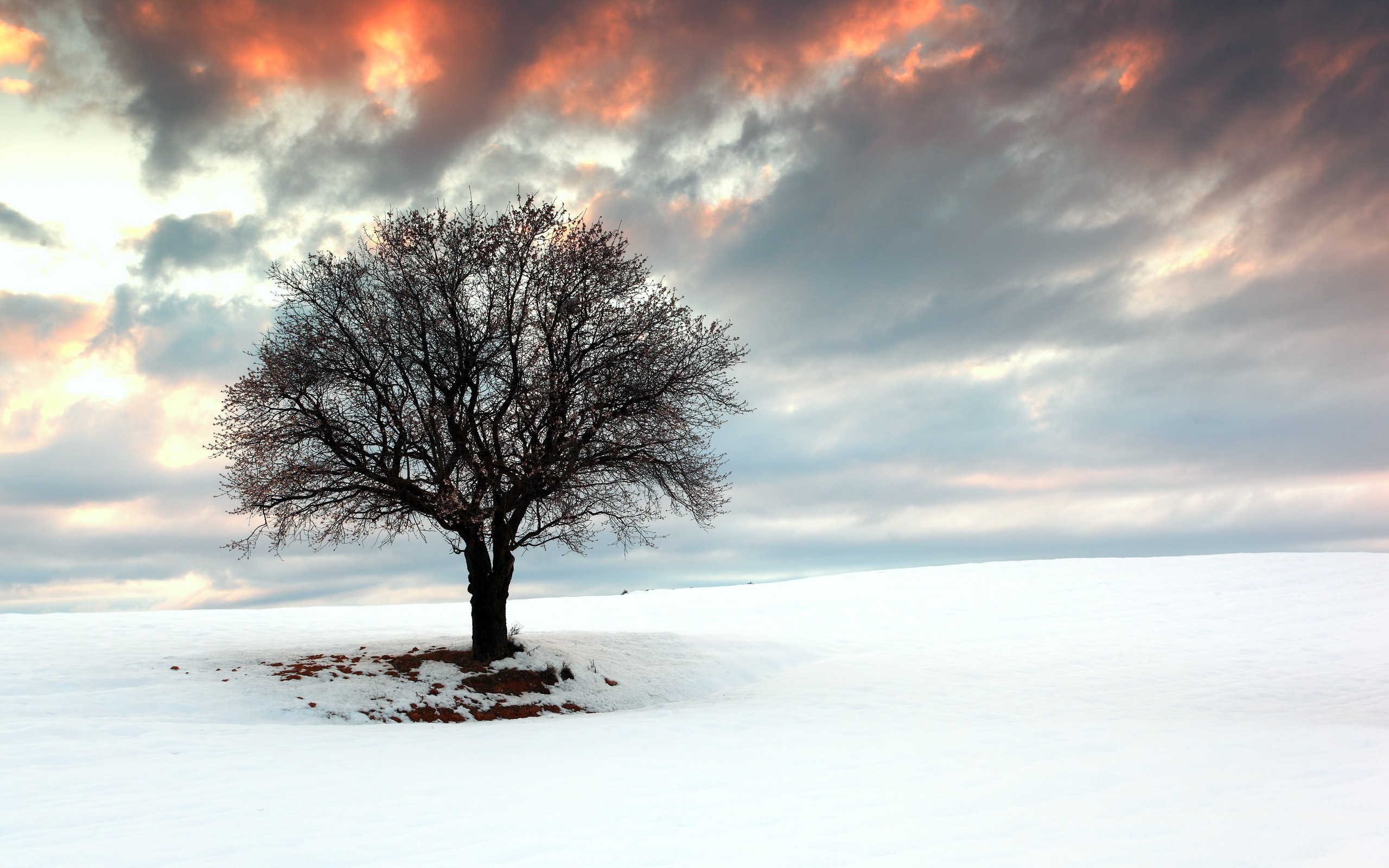 世界击剑重剑团体决赛:欧洲传统强队包夹中国剑客,世界击剑选手排名